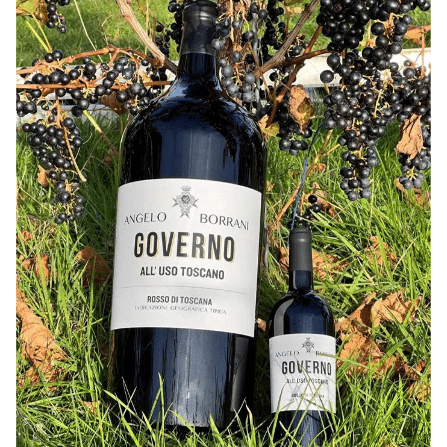 Angelo Borrani Governo All Uso Toscano Rosso   Toscana 2019   Liter