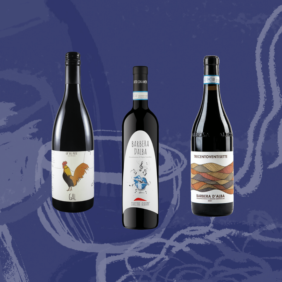 Barbera Smagekasse – Italienske Vine med Fantastiske Tilbud