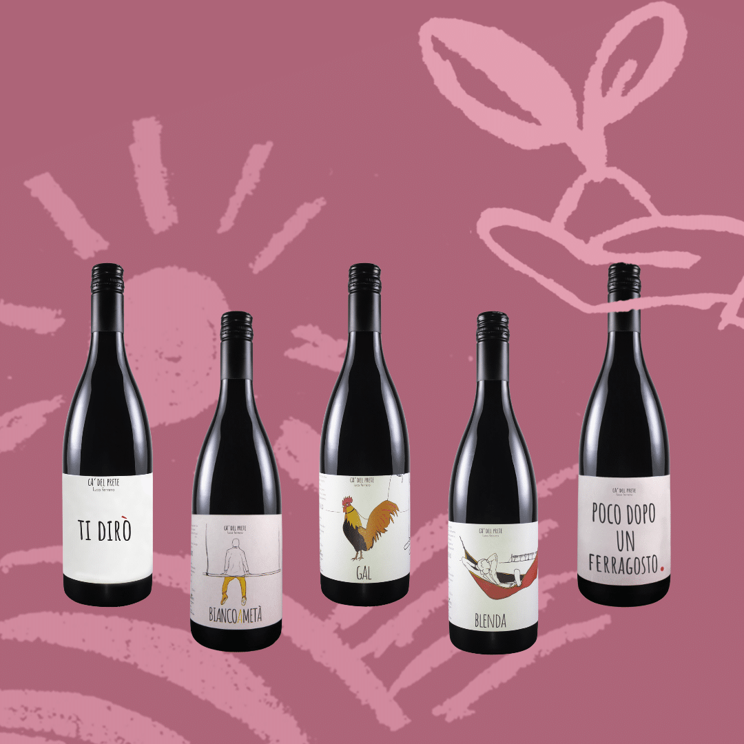 Økologisk Vin Smagekasse fra Piemonte – Italienske Oplevelser