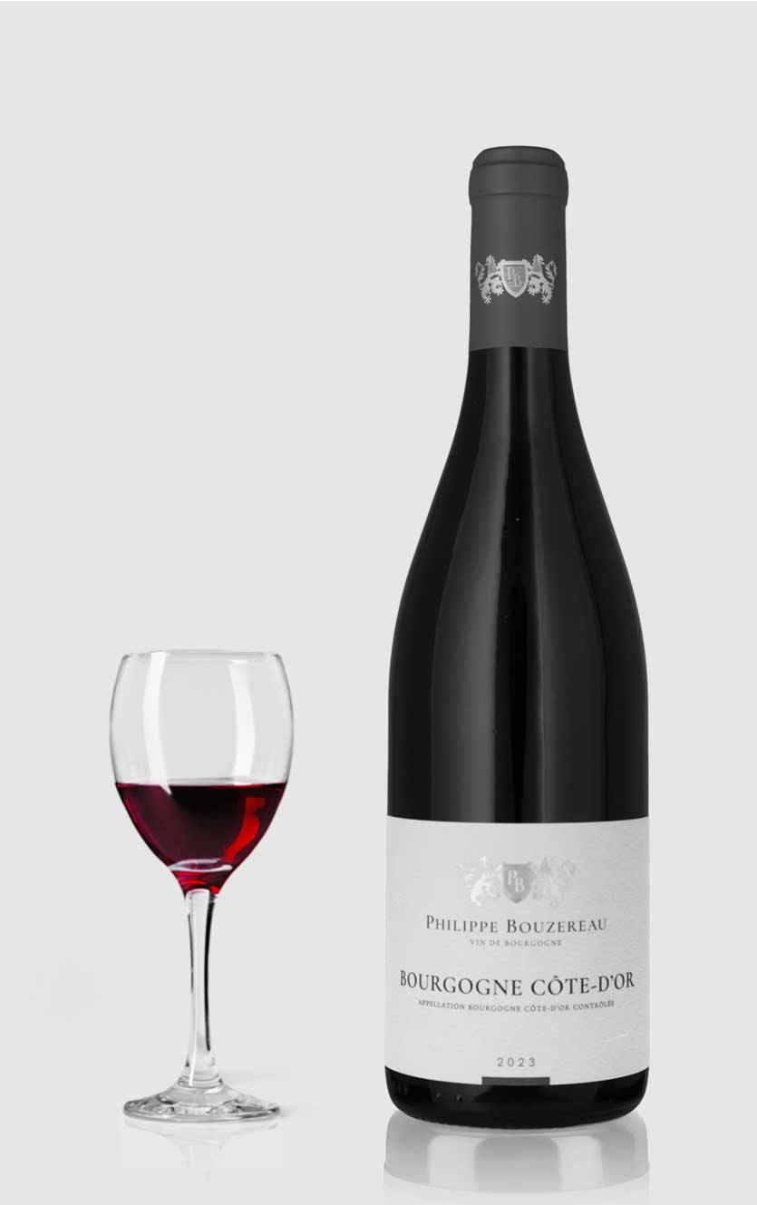Domaine Philippe Bouzereau Bourgogne Cote Dor Rouge 2023