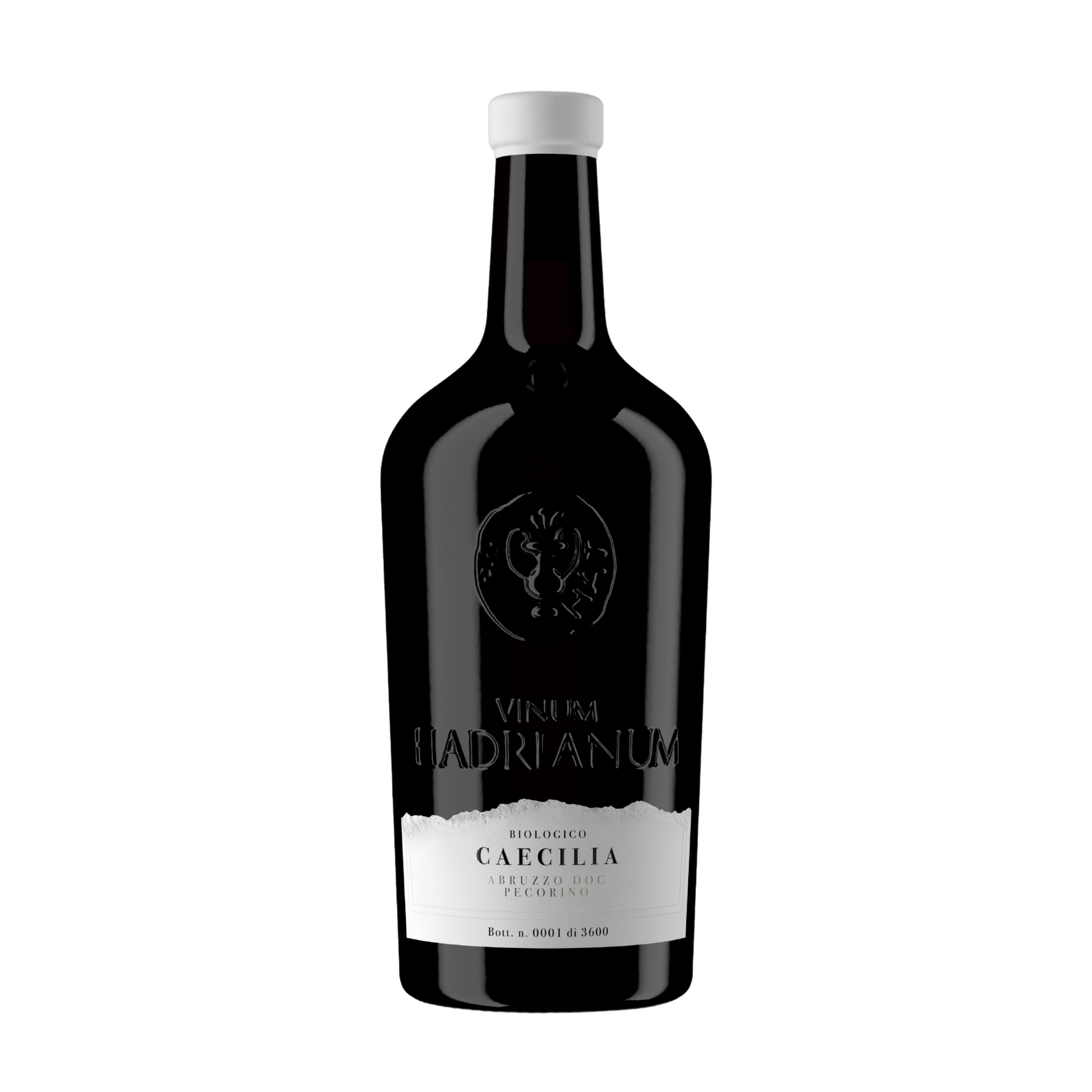 Økologisk Hvidvin Pecorino Caecilia 2023 fra Abruzzo