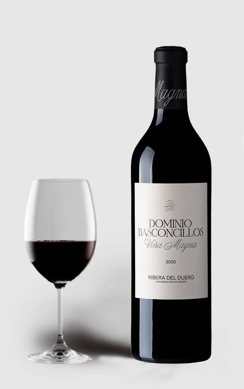 Dominio Basconcillos Crianza Magnum 2020