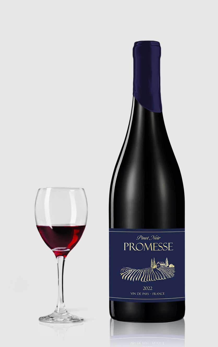 Promesse Pinot Noir ØKO 2022 – Rødvin Tilbud!