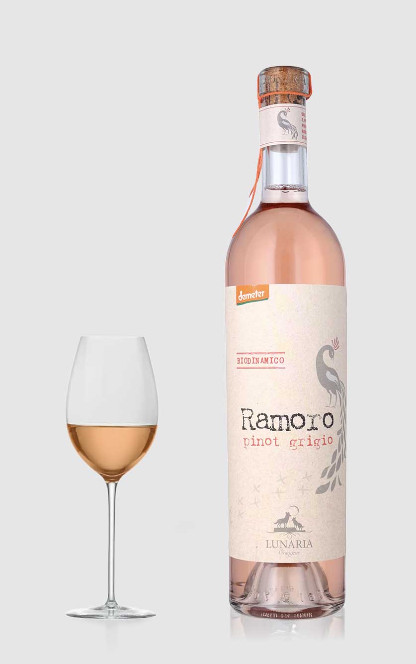Ramoro Økologisk Pinot Grigio Orangevin 2024 – Unik Smag