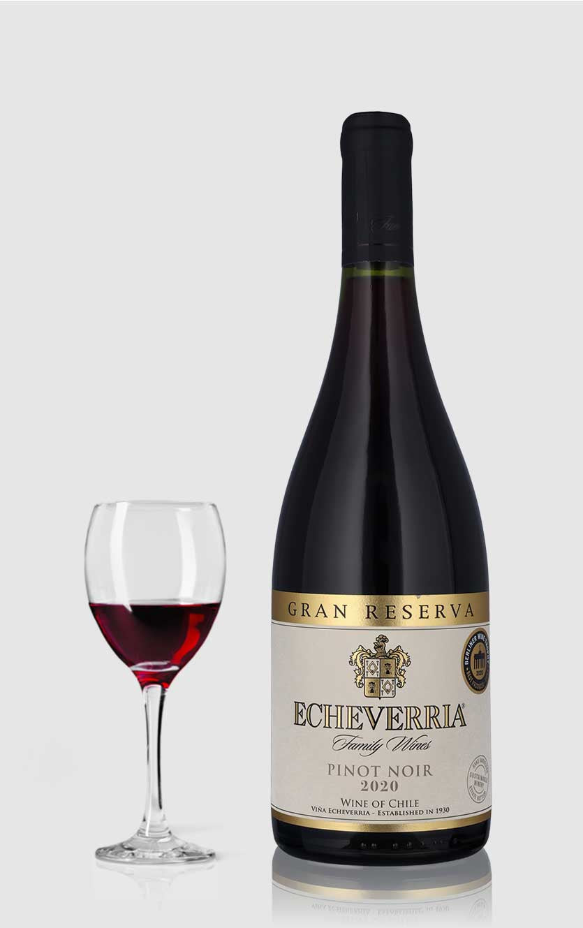 Elegant Vina Echeverria Pinot Noir Gran Reserva 2020