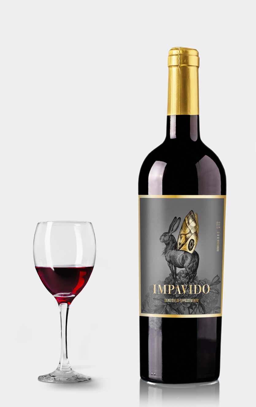 Imponerende Sangiovese Appassimento 2021 Rødvin - Udsalg!