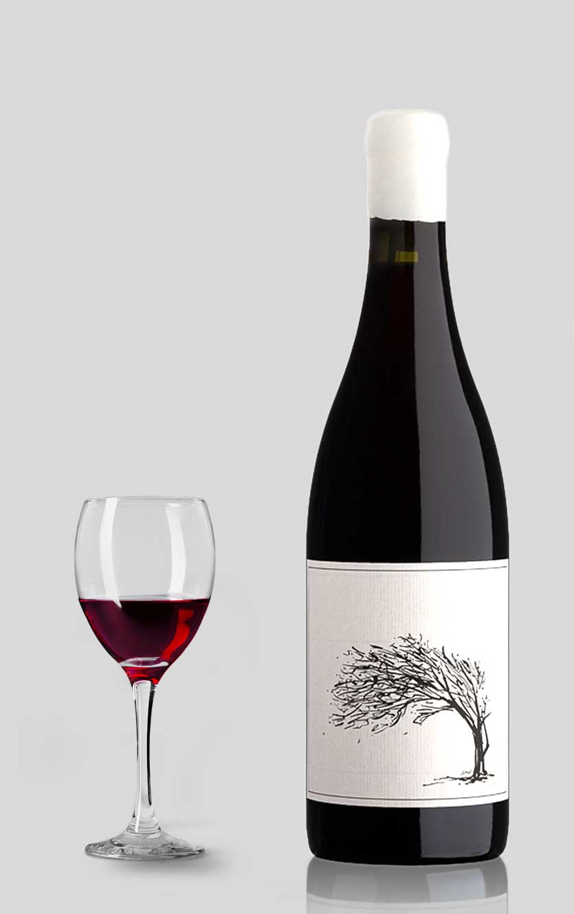 Savage The Girl Next Door Syrah 2024 – Bestseller Vin