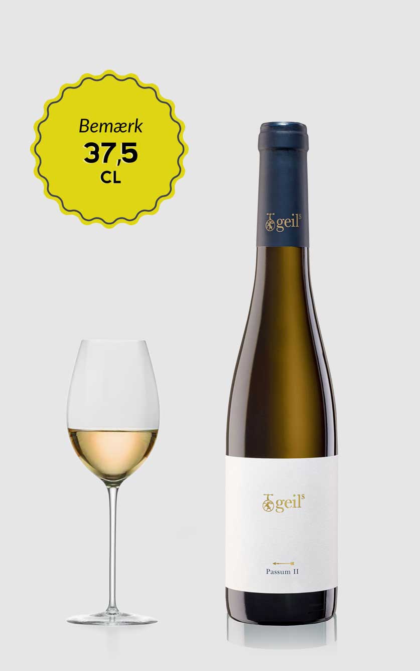 Sød Dessertvin: Auslese Passum III Albalonga 2021 – Udsalg!
